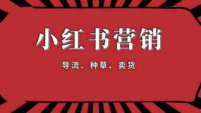 商家如何评估小红书KOL的影响力和粉丝质量