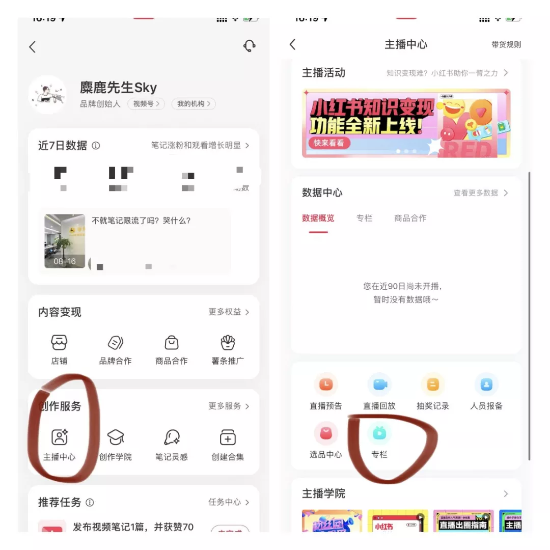 专栏入口